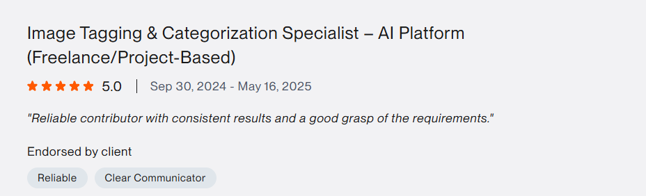 Upwork testimonial 3